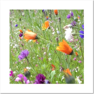 Wild Flowers - Vectorized Photographic Image Posters and Art